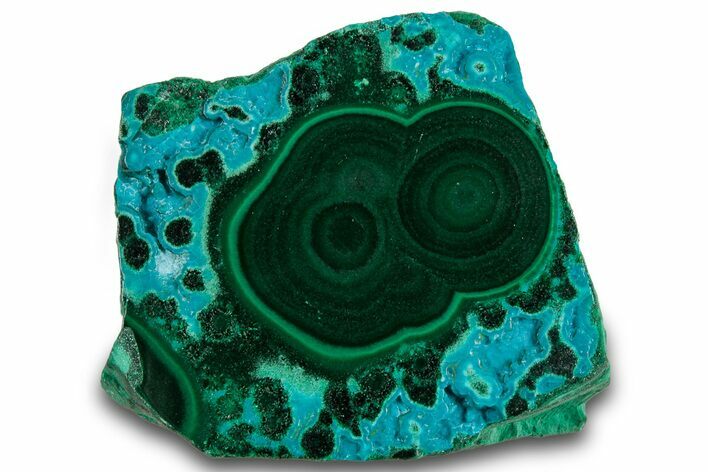 Vibrant Polished Malachite with Chrysocolla - DR Congo #319815